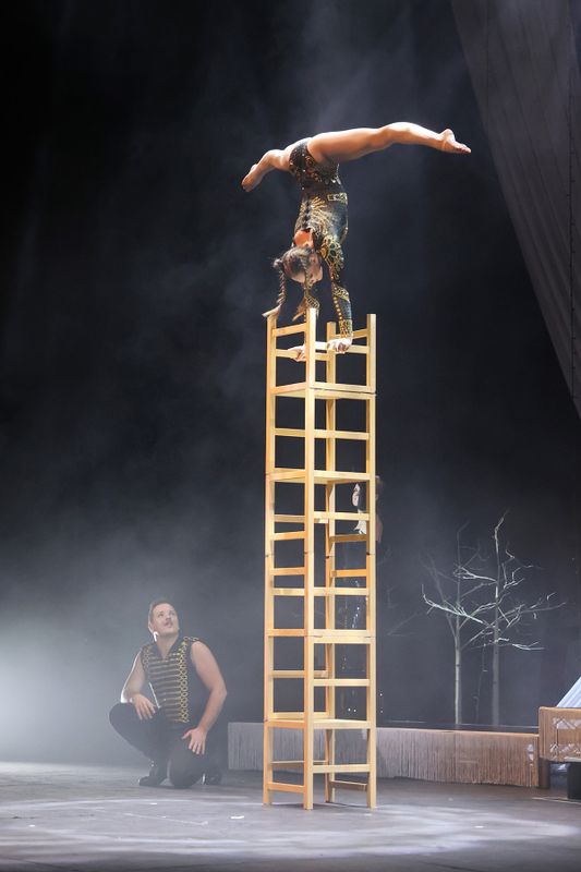 A circus performer does a handstand on the top of a ladder.