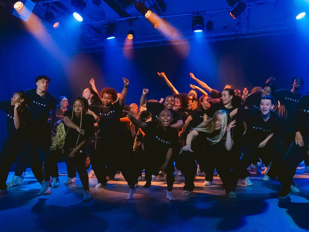 Group image of Marshdon Dance Company posing on stage