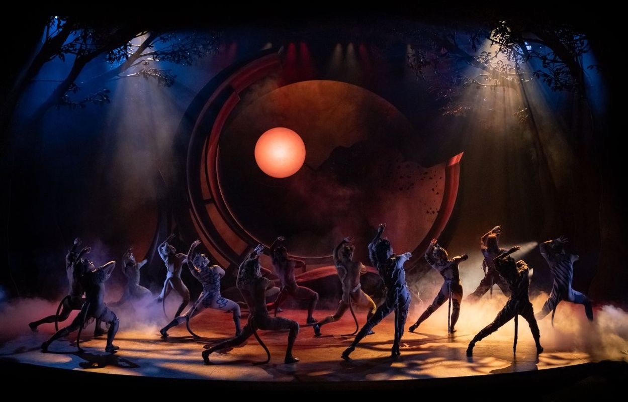 In this dramatic scene from a stage production of Cats, performers are captured mid-dance. The stage is illuminated with warm lighting, casting shadows and creating an atmospheric setting with a sun-like backdrop and surrounding mist. The costumes are dynamic, evoking the essence of animals.