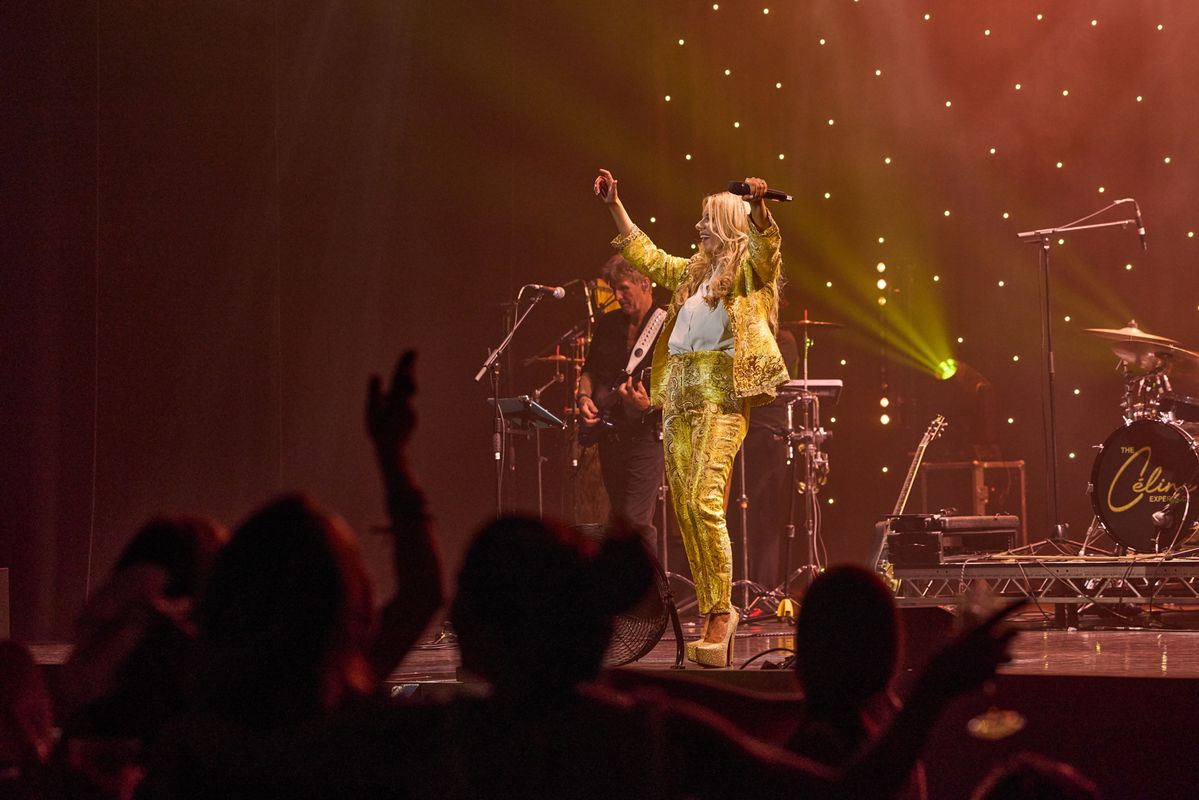 Concert scene with a performer in a sparkly gold outfit on stage, arms raised, in front of a microphone. Silhouettes of an audience are visible in the foreground. Musical instruments and equipment, including a drum set, are on stage with stage lights in the background.